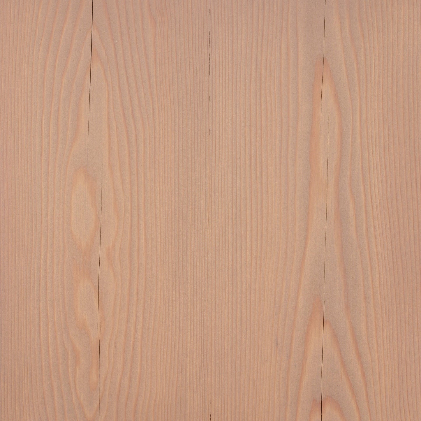 Larch
