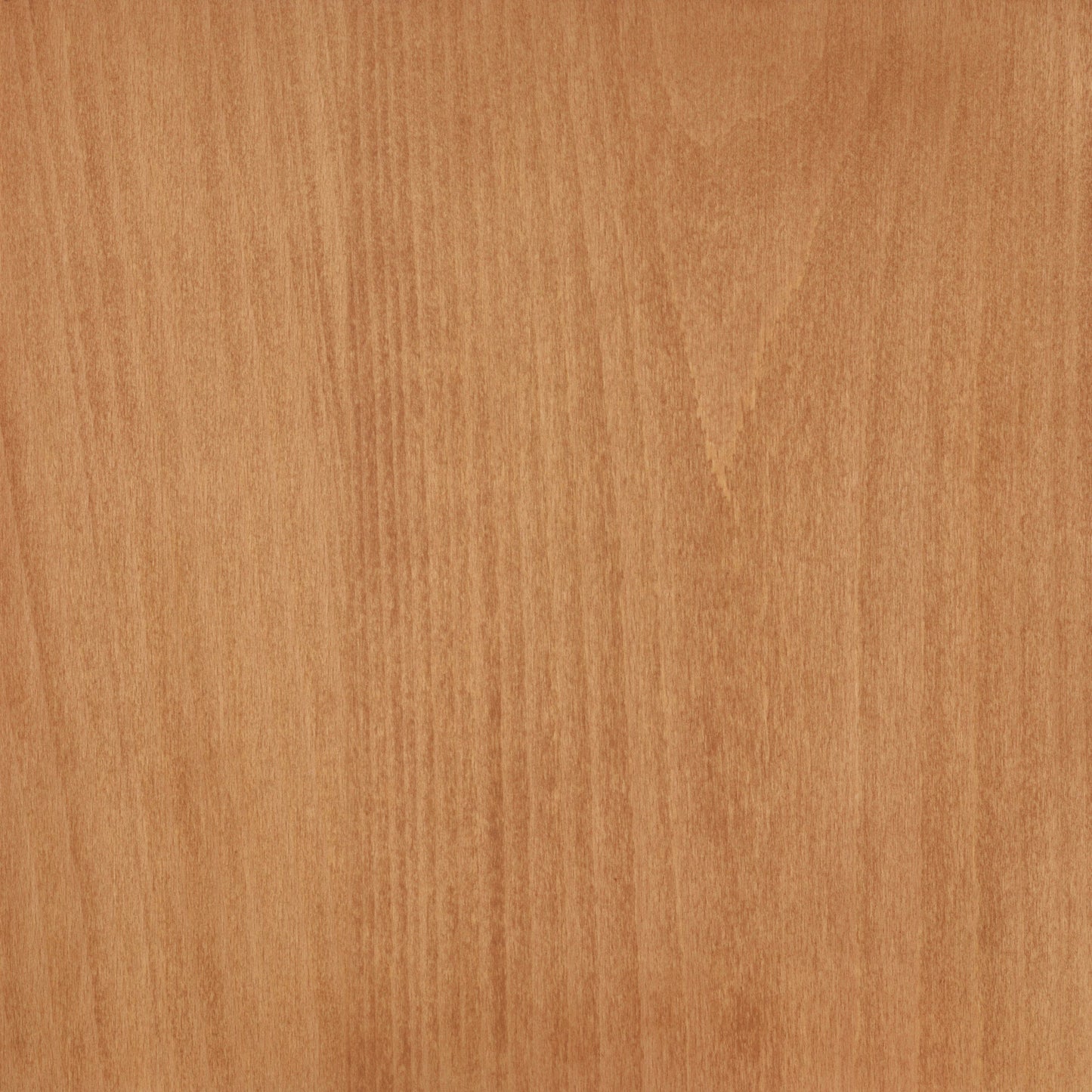 Beech