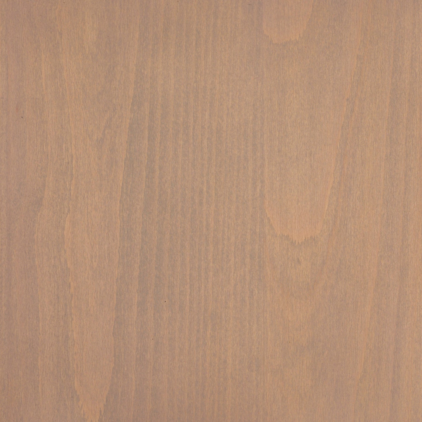 Beech