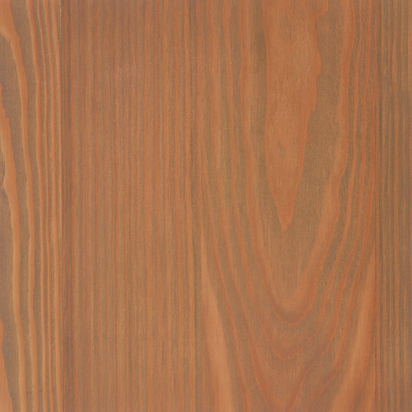 Larch
