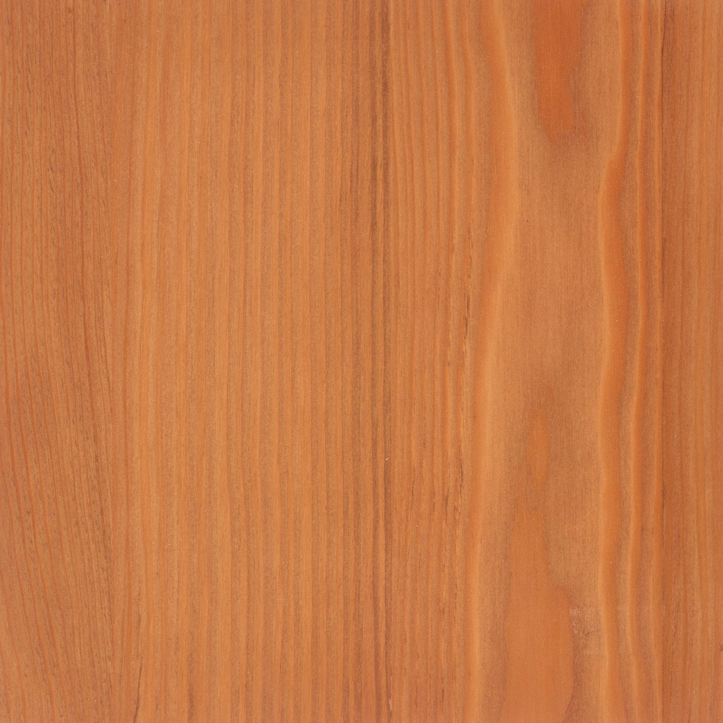 Larch